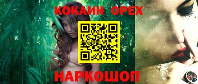 молекула духа Новозыбков