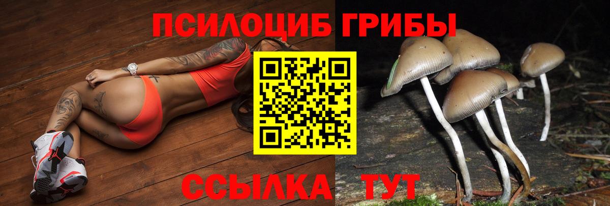 Псилоцибиновые грибы прущие грибы  Псилоцибиновые грибы мухоморы  купить наркотик  Пугачёв  Вход с VPN 